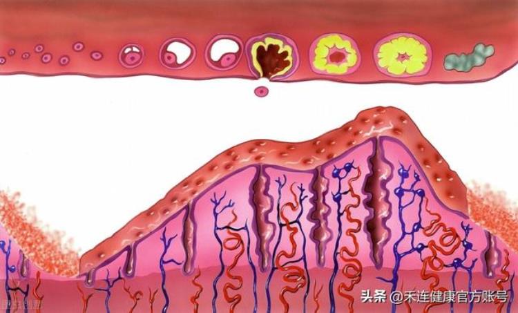 女生25岁什么都没有,年龄大没有白带正常吗