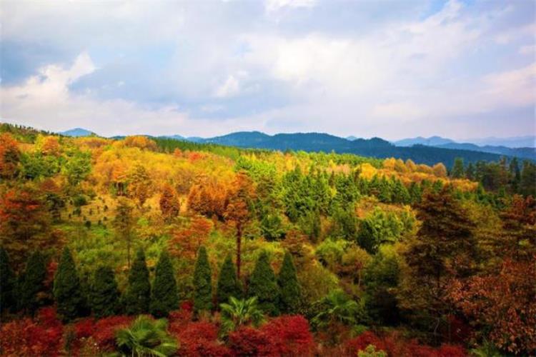 贵州生态文明旅游「贵州文旅知识趣味挑战大赛知识要点①丨生态贵州」