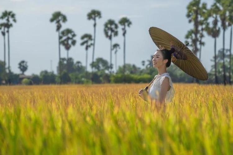 老婆发高烧老公都不管怎么办,结婚七年发烧39度让送去医院