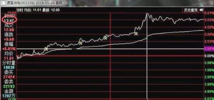 屹立不倒20年的秘密传奇机构只持一支票来回轮动做T独家揭秘只赚不亏财源滚滚