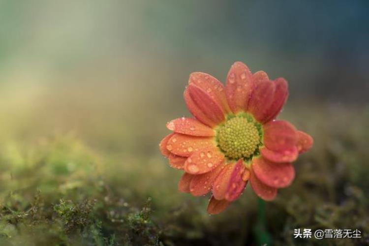 好的婚姻让女人变得越来越好,成熟的人都已经戒掉了情绪