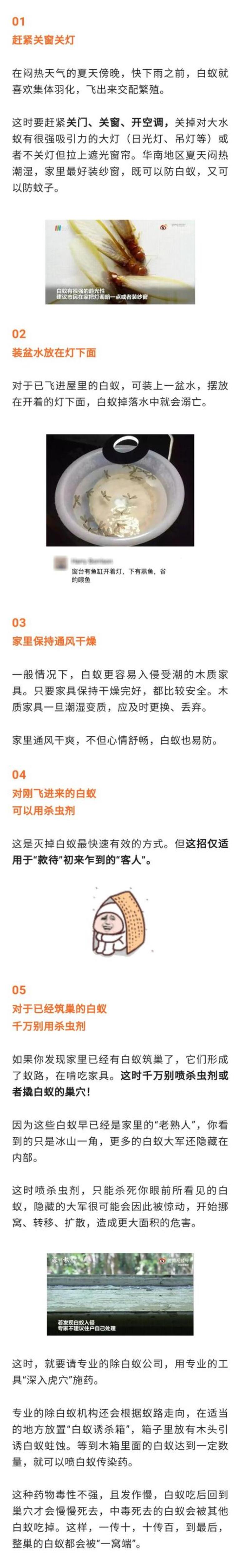 白蚁房整治好还能继续住吗「又到白蚁高发期拆家的白蚁如何预防快收藏→」