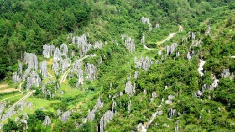 贵州生态文明旅游「贵州文旅知识趣味挑战大赛知识要点①丨生态贵州」