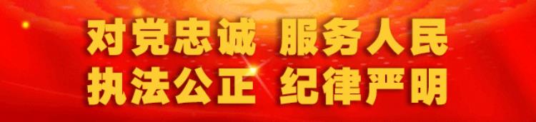 先锋活动可以做什么「振兴新突破我要当先锋运输费这么便宜原来」