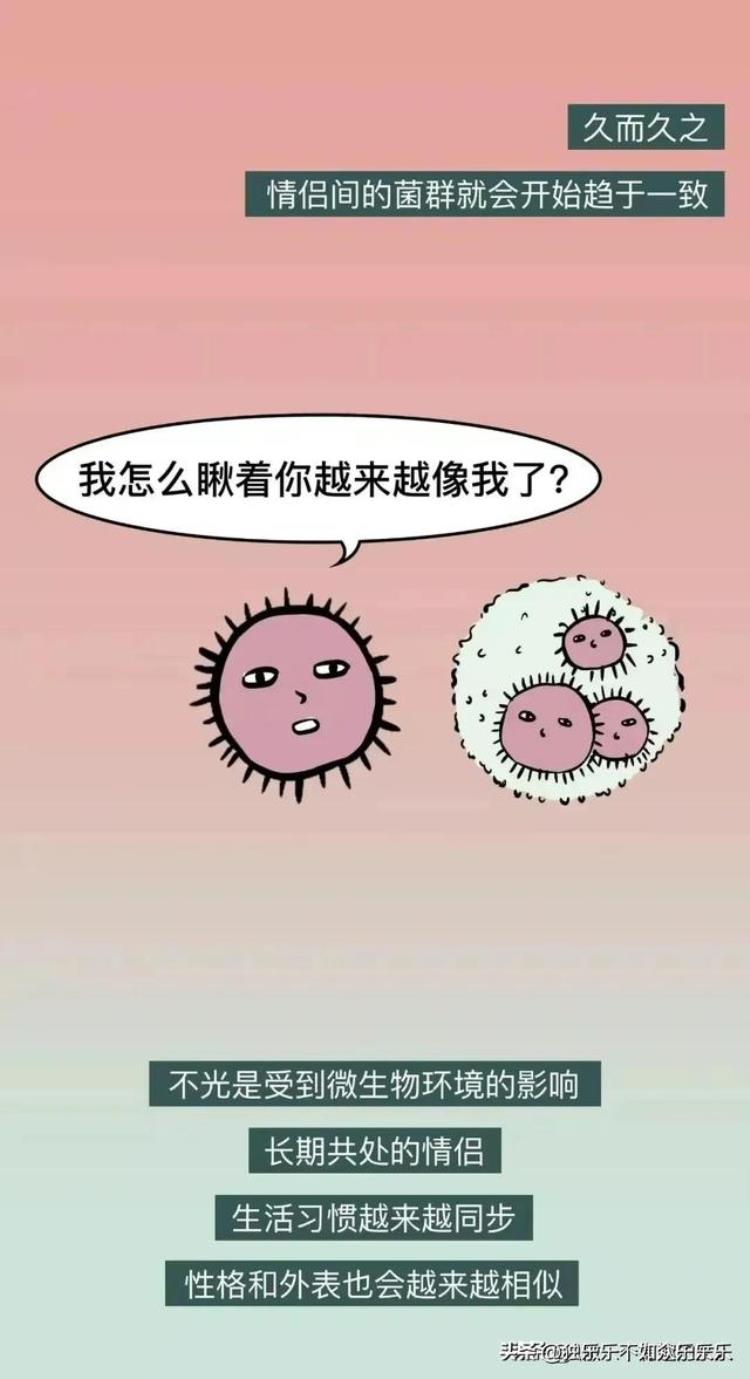 为什么热恋中的情侣都喜欢接吻,男性之间恋爱的漫画