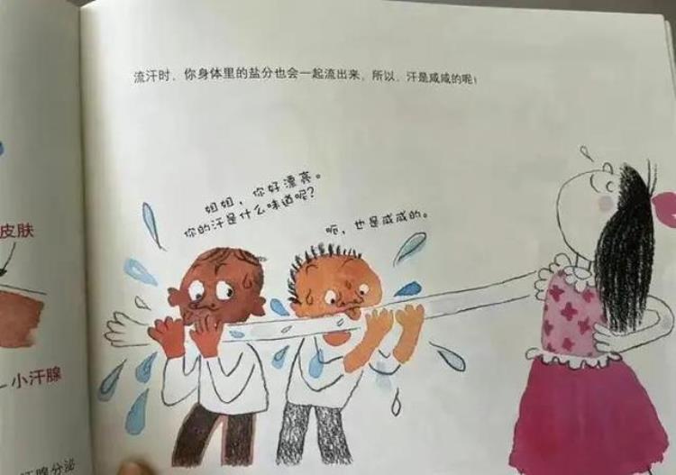 现在的教材插图为什么这么丑,旧教材插图