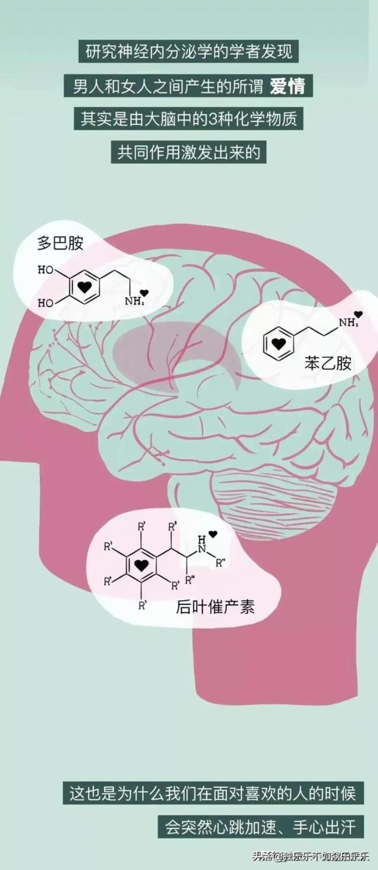 为什么热恋中的情侣都喜欢接吻,男性之间恋爱的漫画