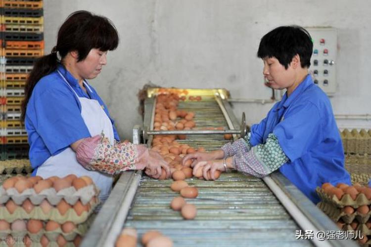 最近鸡蛋涨价太疯狂,什么原因导致暴涨?,为什么近期鸡蛋价格上涨很厉害