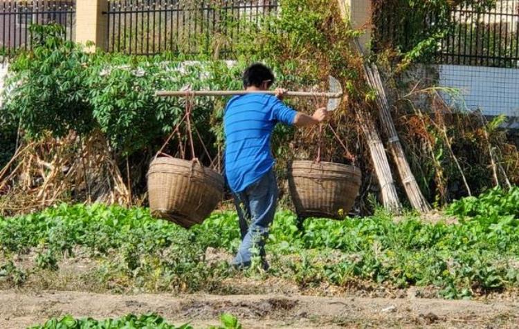 智障女青年,13岁智障女孩遇害最新调查