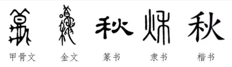 今日立秋酷暑未退为啥已经立秋,今年立秋是早立秋还是晚立秋