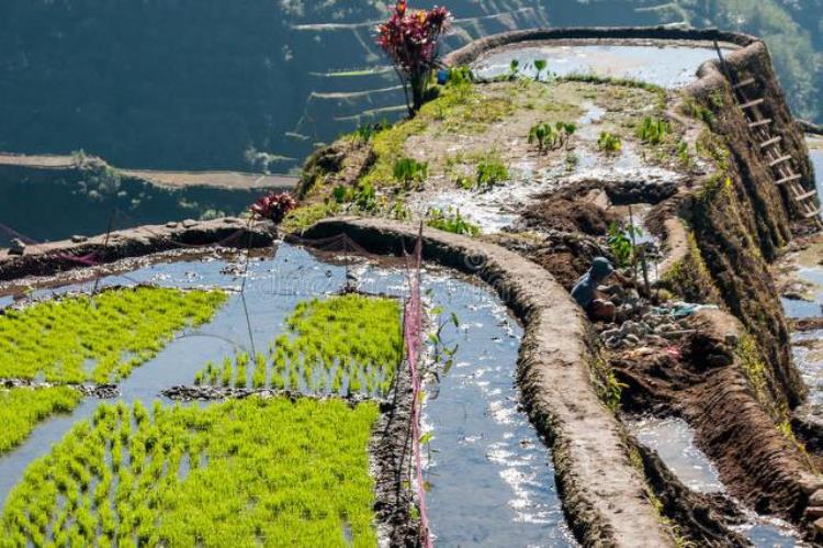 4月6号下,农村俗语暴雨