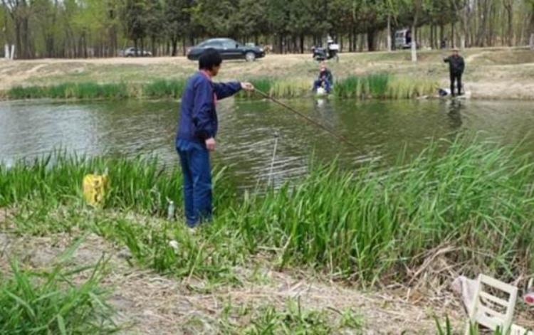 4月份钓鲫鱼怎么钓,一年四季钓大鲫鱼技巧