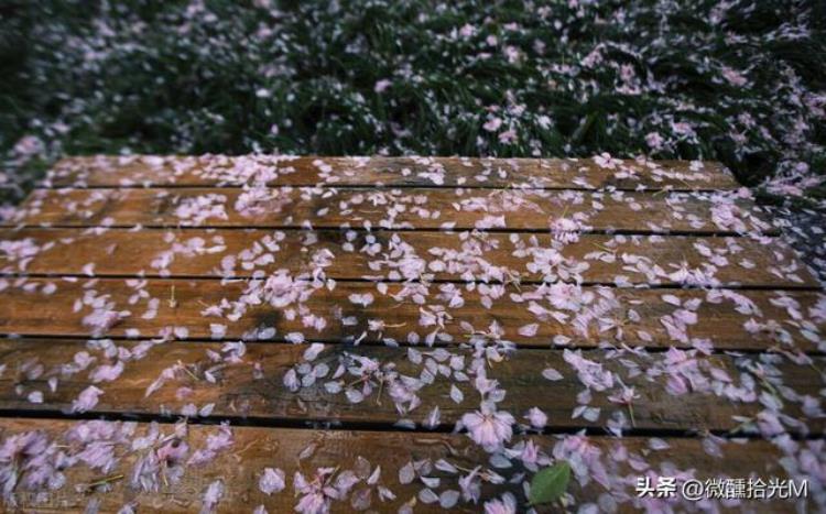 清明节为什么总爱下雨,清明时节雨纷纷为什么清明爱下雨