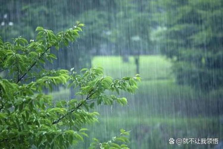 最能下雨的几个省份,下雨最多的地方中国