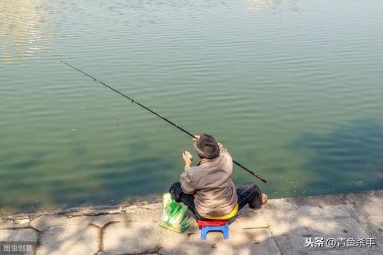 草鱼为什么那么难钓,草鱼钓底的最佳方法