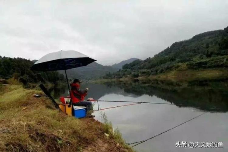 深秋野钓没口怎么回事,初秋野钓没口时怎么办