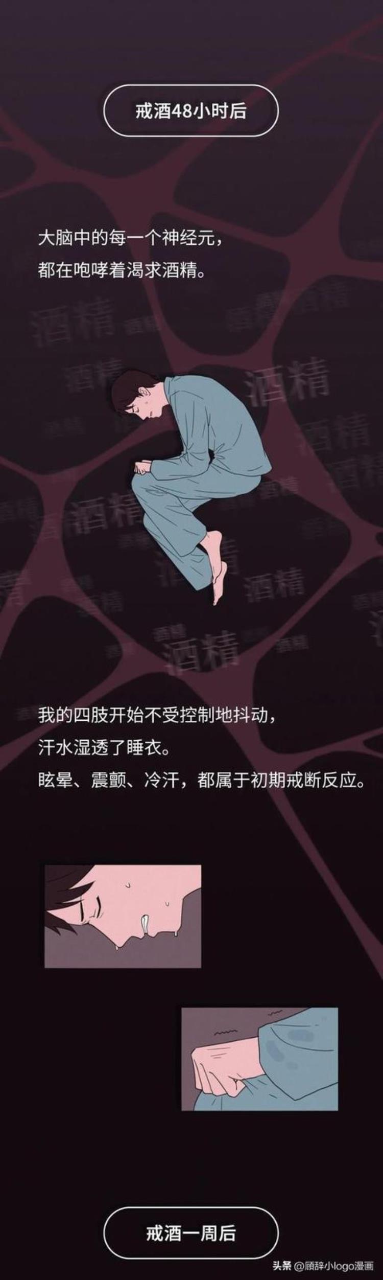 戒酒一段时间后身体的变化,长期喝酒的危害漫画