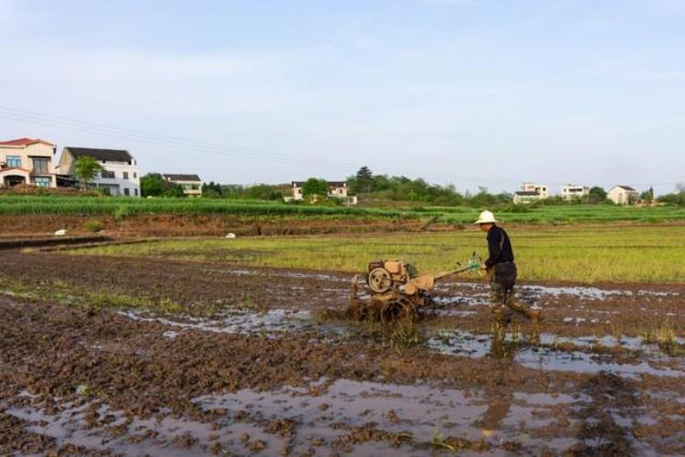 4月6号下,农村俗语暴雨