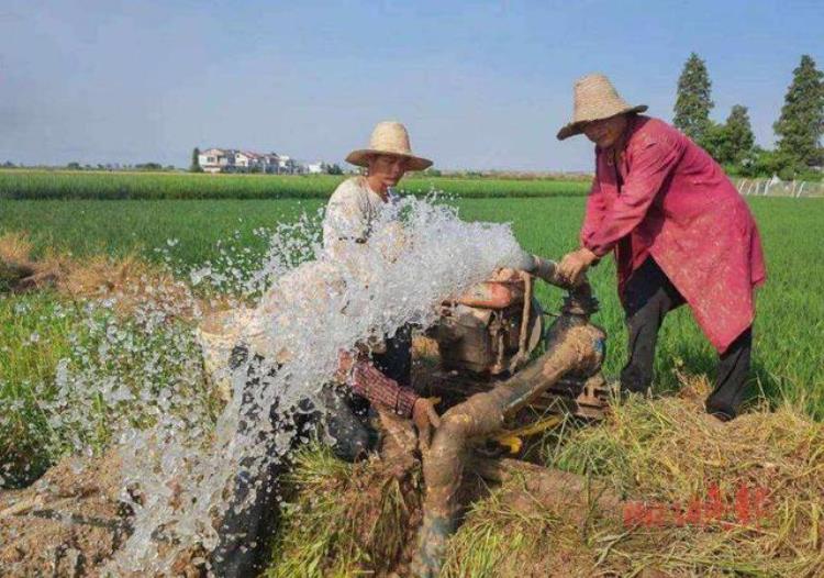 长江中下游将进入高温少雨模式,三峡水位最新情况