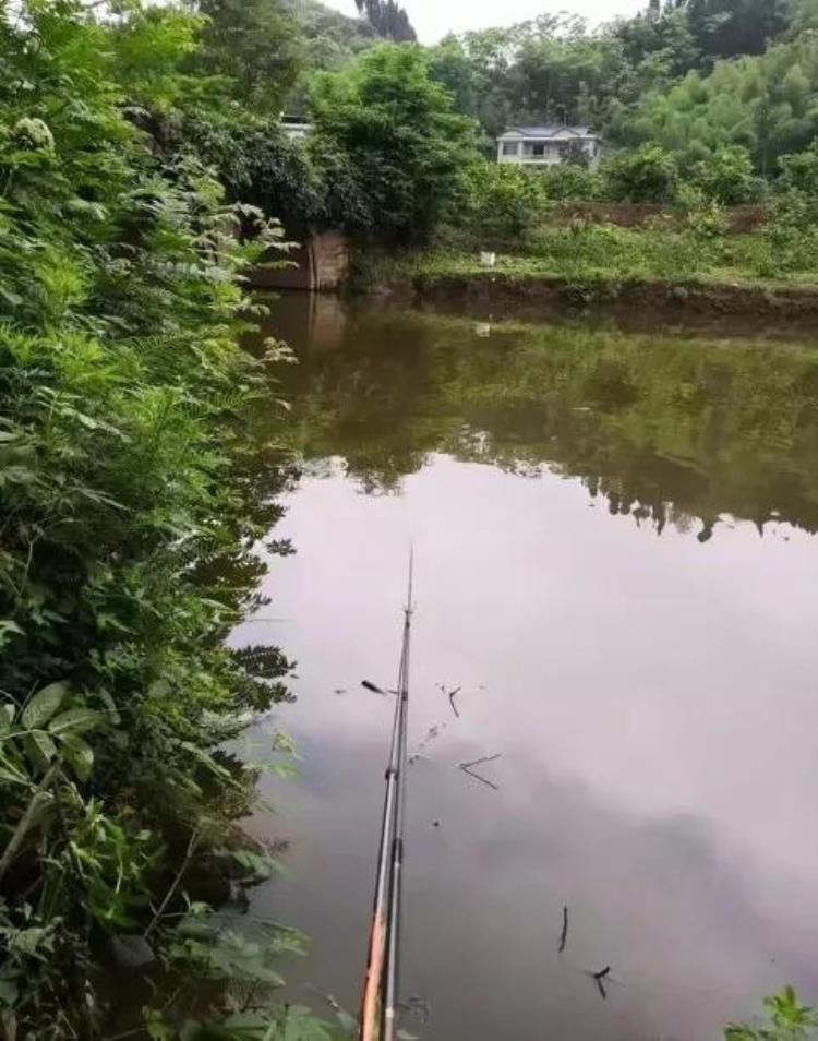 有一个爱钓鱼的老公是一种什么样的体验呢,老公很笨很蠢什么体验