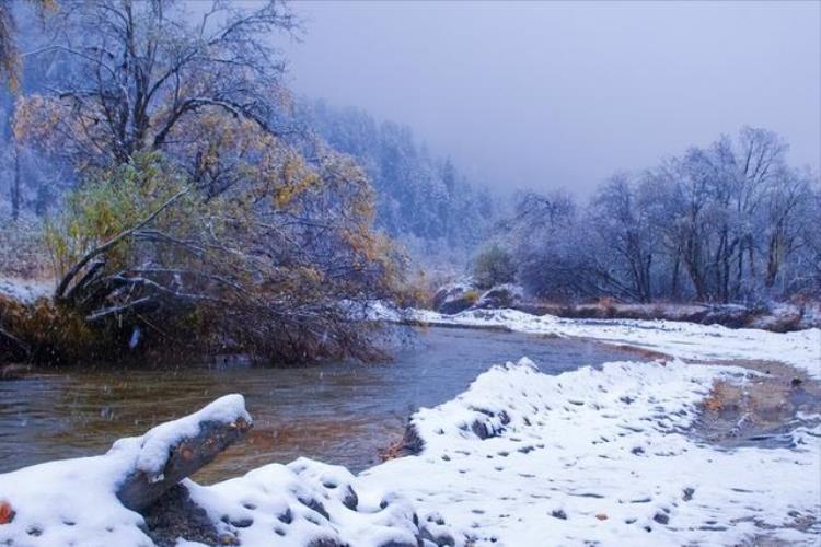 二月雷打雪有什么说法,正月里的雷打雪有什么说法吗