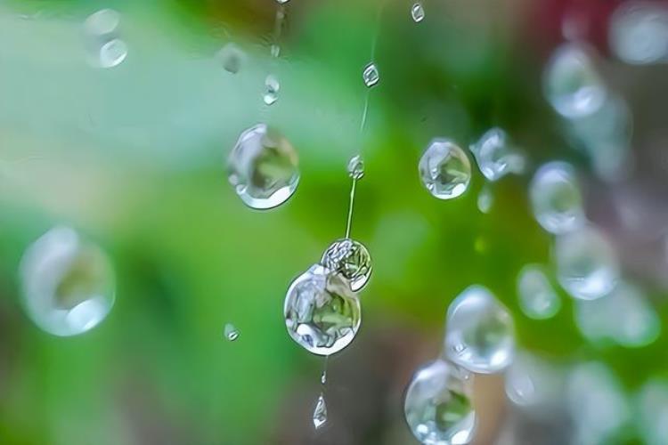 梅子黄时雨是几月,黄梅时节有关诗都有哪些