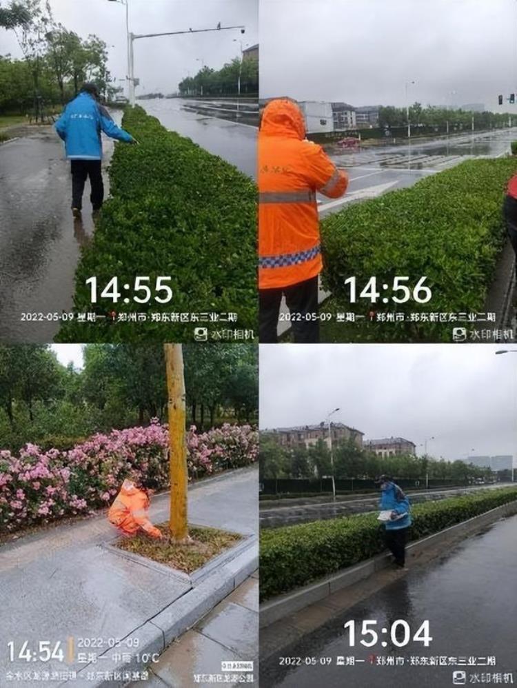 5月份园林绿化养护要点,七月份园林绿化主要工作