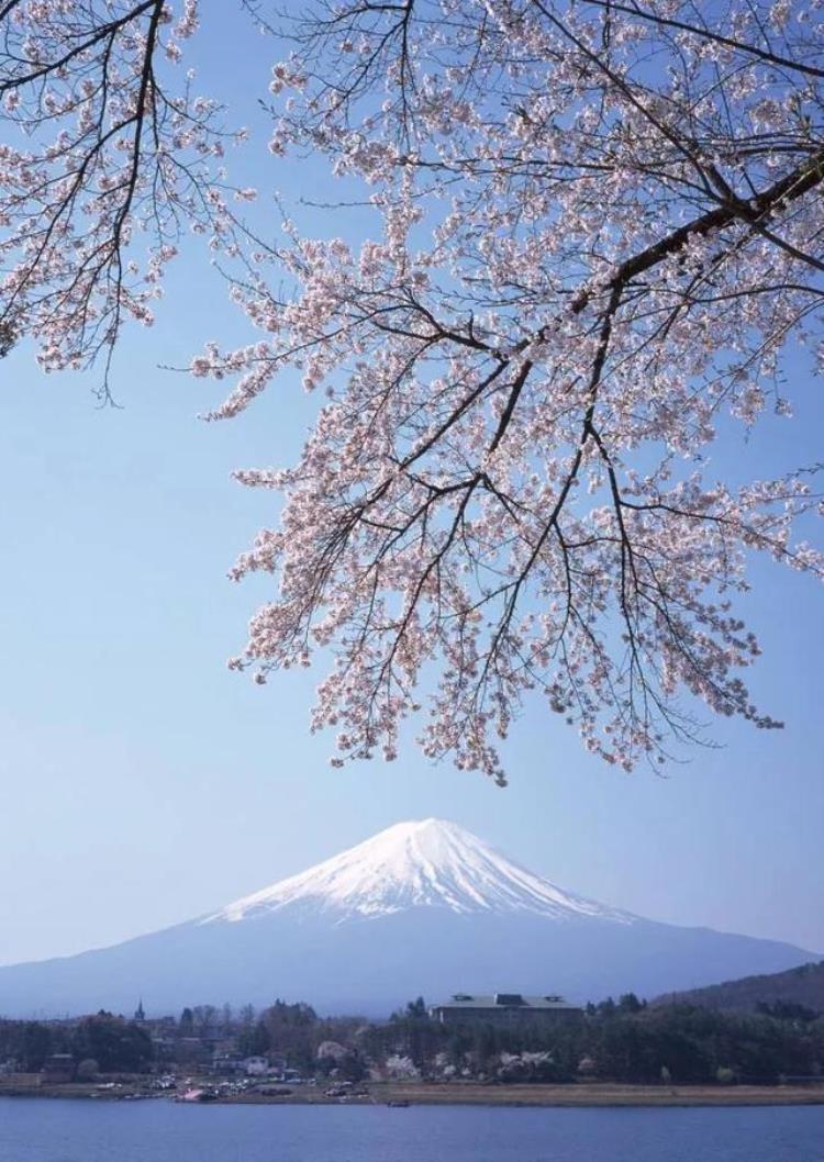 如果只能去一次日本那我建议怎么办,去日本打工的建议和忠告