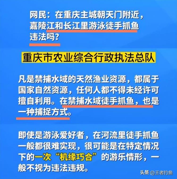 重庆禁止捕鱼,重庆禁渔期逮钓鱼人