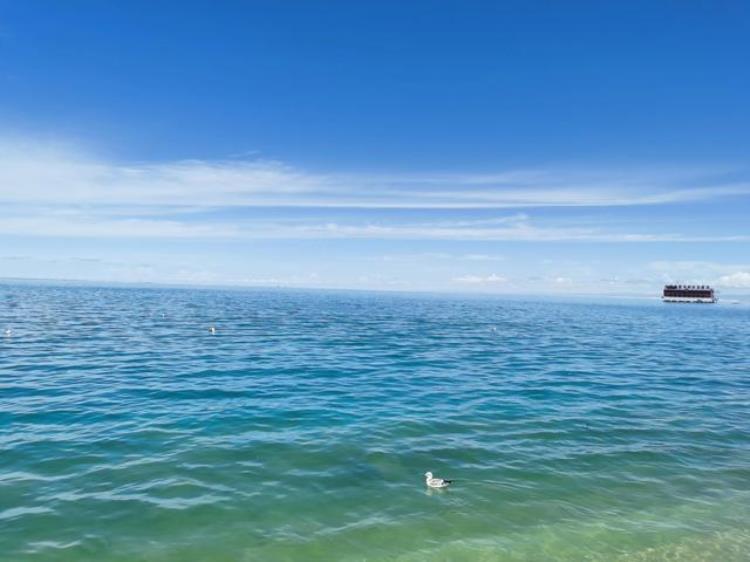 7月的青海湖有多美,五月的青海湖美景图