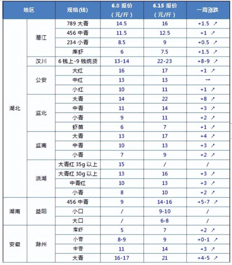 小龙虾价格暴涨,小龙虾抢鲜上市教你挑虾中肥仔