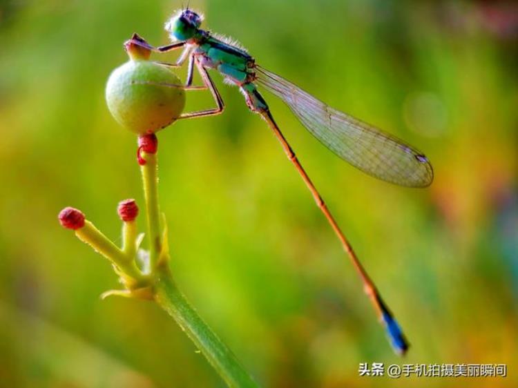 手机拍照片不清楚「手机拍摄照片不清晰这三点有关」