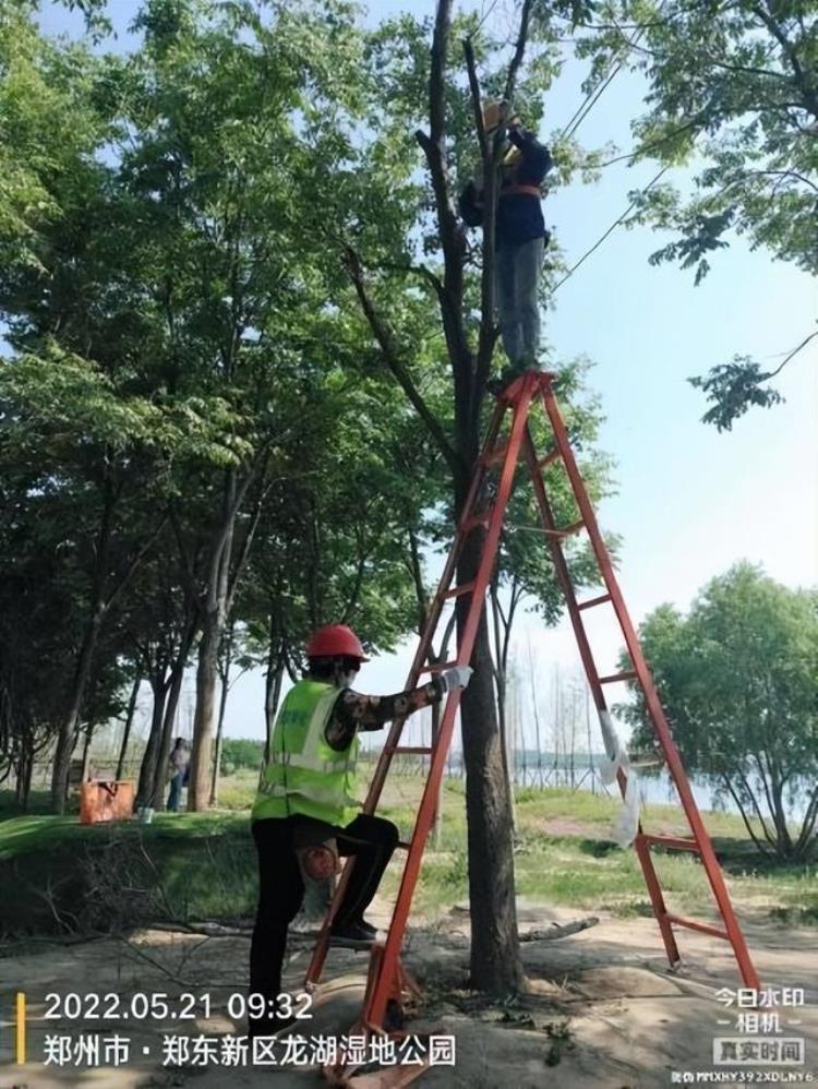 5月份园林绿化养护要点,七月份园林绿化主要工作