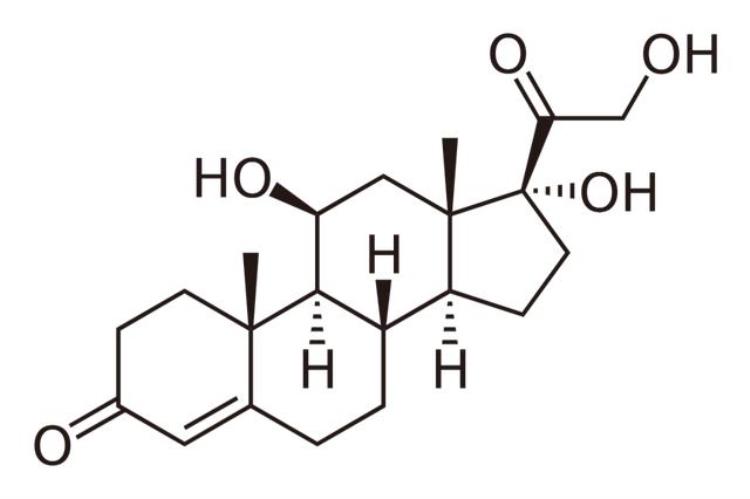 满月脸水牛背是什么病引起的,得了满月脸水牛背该怎么治疗