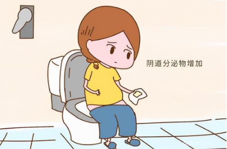 女性分泌物稀水样「女性白带发稀像水一样流出来哪里出了问题」