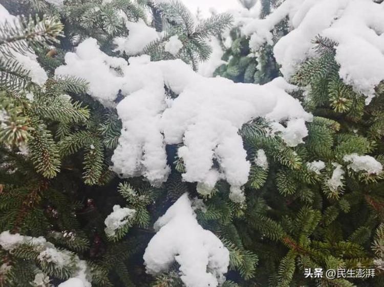 4月飞雪,历史上有过八月飞雪吗