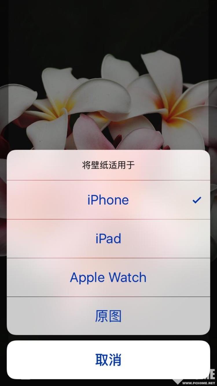 iphone壁纸软件排行第一「看花眼了iPhone手机壁纸应用横评」