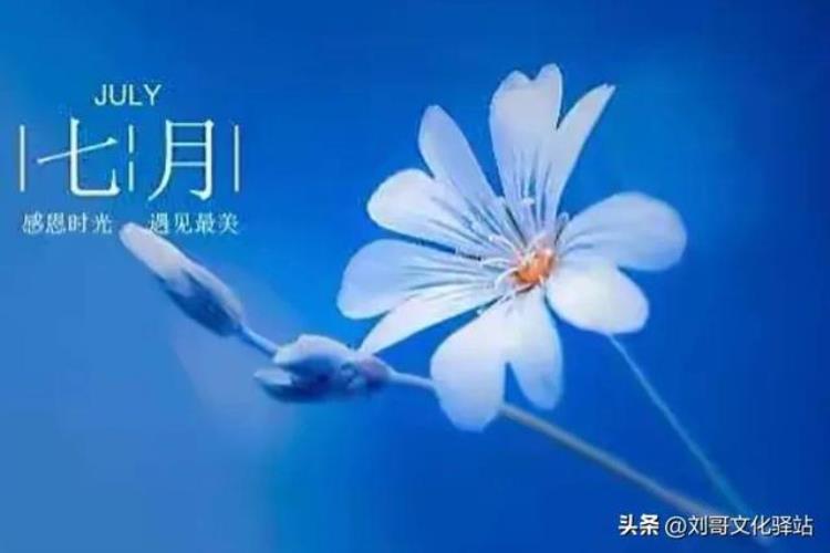 不怕7月半的鬼,为什么说六月不能出门