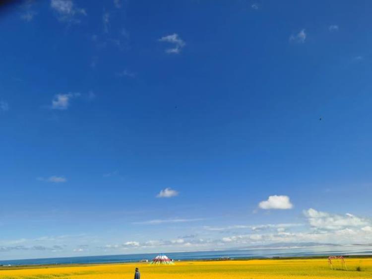 7月的青海湖有多美,五月的青海湖美景图