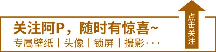 壁纸删除了为什么还在屏幕上,已经删除的壁纸为什么还在呢