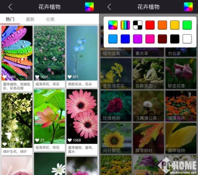 iphone壁纸软件排行第一「看花眼了iPhone手机壁纸应用横评」