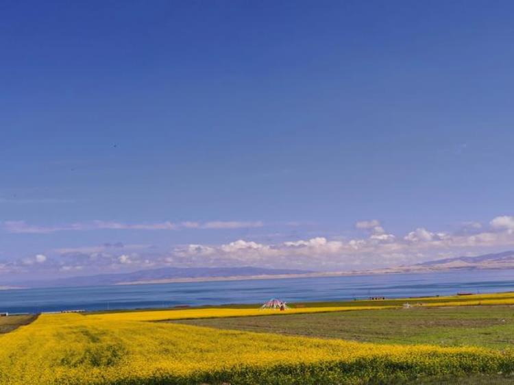 7月的青海湖有多美,五月的青海湖美景图