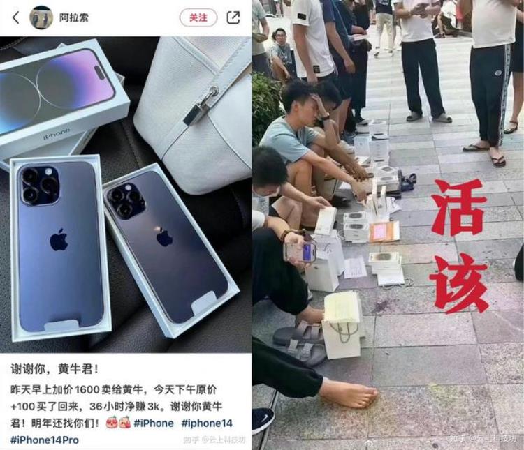 14pro首发价,iphone14plus上市