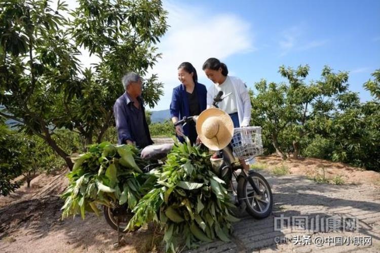 阿里巴巴干货19讲,阿里巴巴农业基地建设