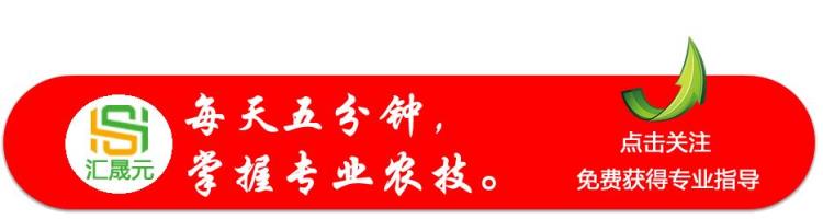 桃树几月份嫁接最合适「桃树几月份嫁接最好要怎么样嫁接」