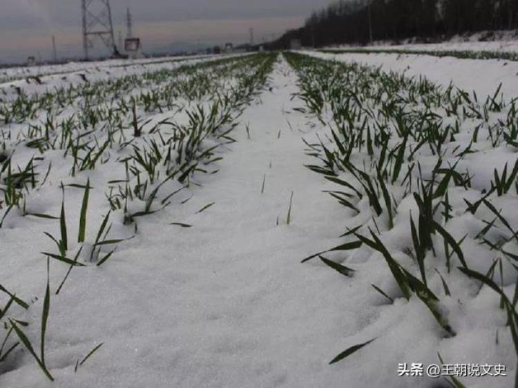 闰二月有什么说法,农村俗语一刻值千金