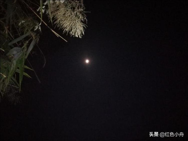 四月份钓鱼夜钓什么时候有口,夜钓什么季节最好钓