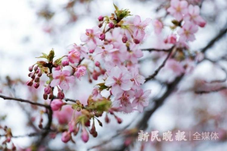 阴雨天气原因,阴雨天为什么能维持那么久