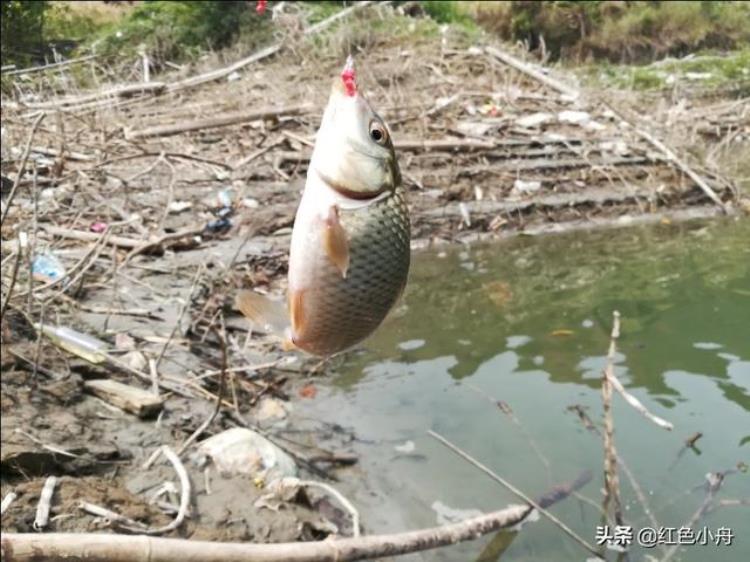 三月为何难钓鱼,为啥3月份钓不到鱼