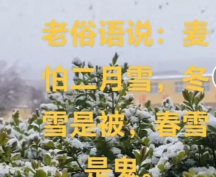 三月下雪打雷是什么征兆「3月突现桃花雪三月打雷又下雪是啥兆头我们看农谚咋说」